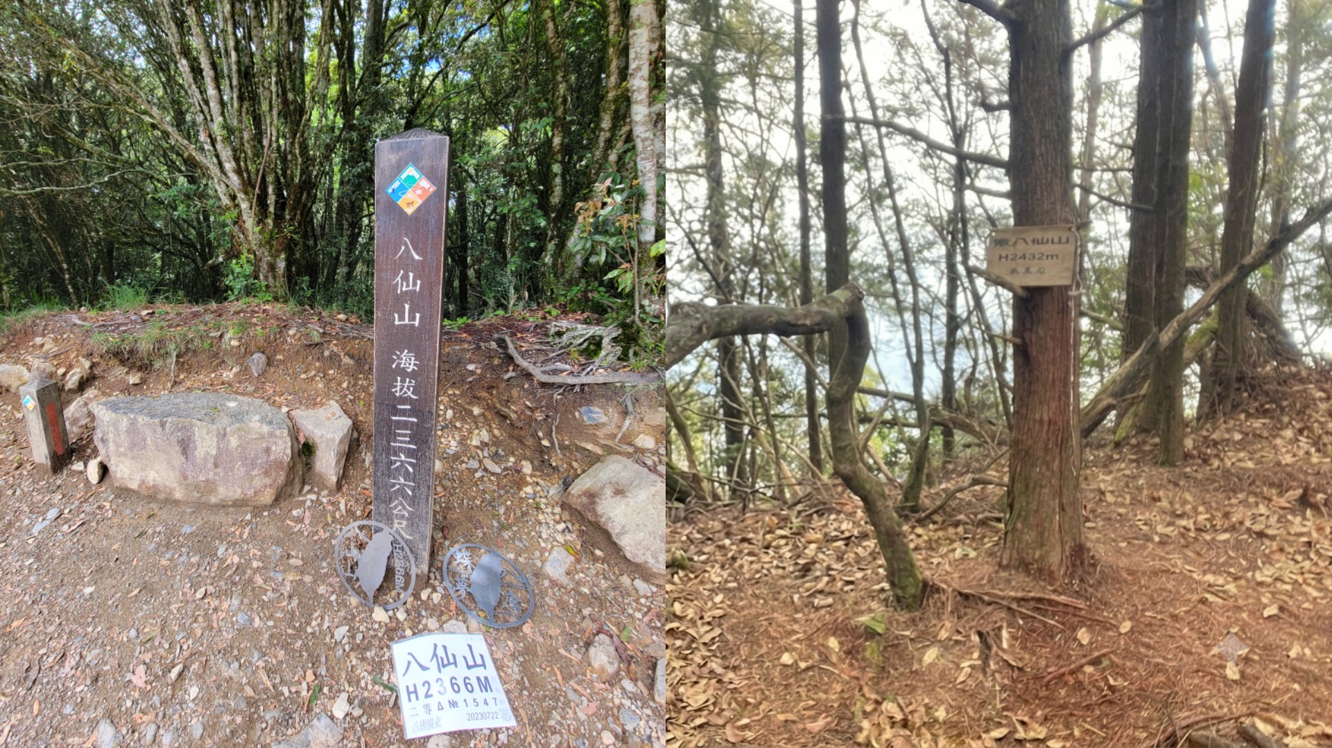 【新竹市健行登山協會