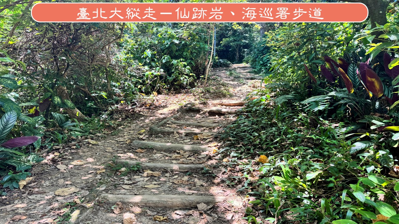 6月27日(六)仙跡