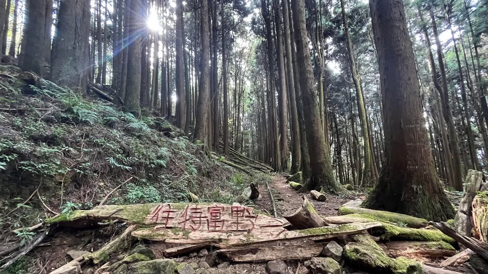 2026/10/03 走進雲霧林中的天神之路—特富野古道(走全程)+特富野步道