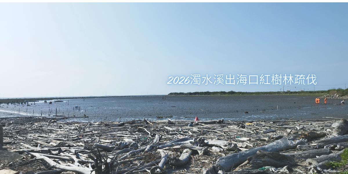 613濁水溪出海口紅