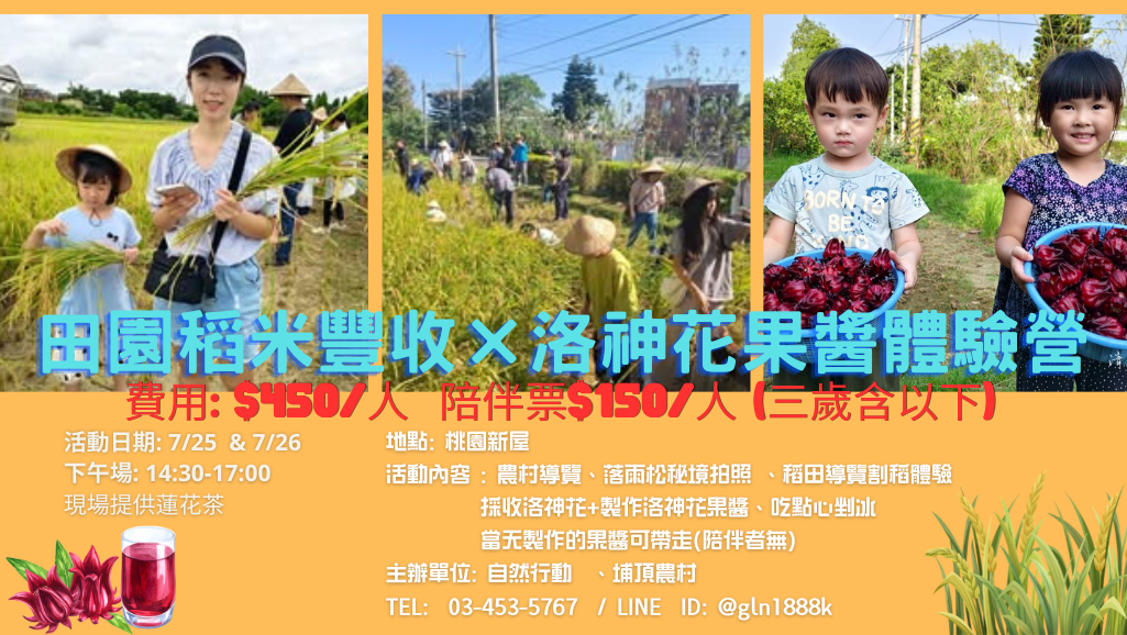 田園稻米豐收ｘ洛神花