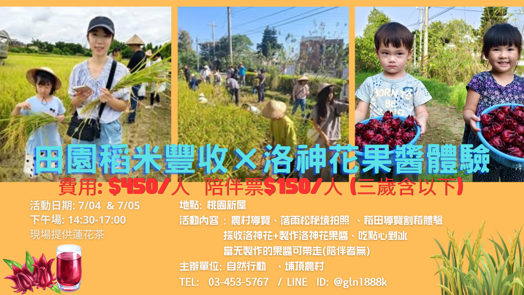 田園稻米豐收ｘ洛神花