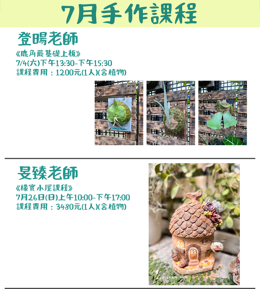 🌿【荳荳多肉手作農場
