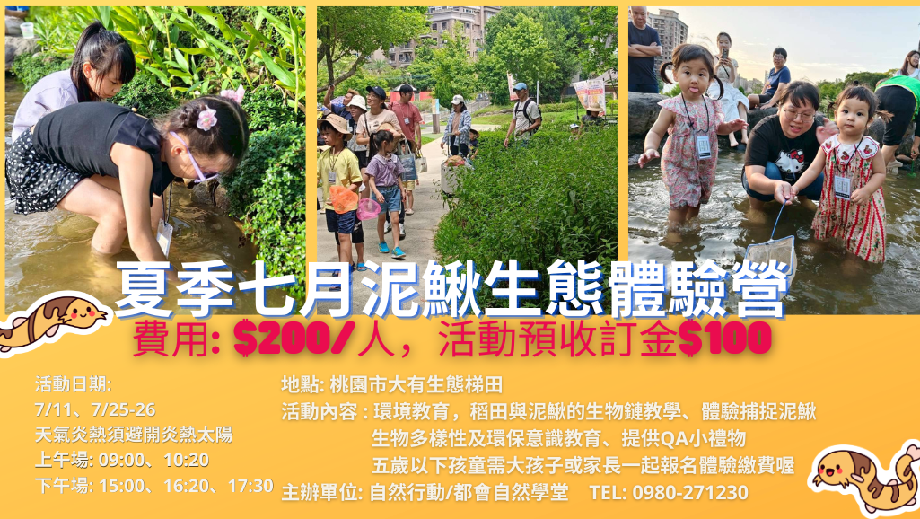 夏季七月泥鰍生態體驗