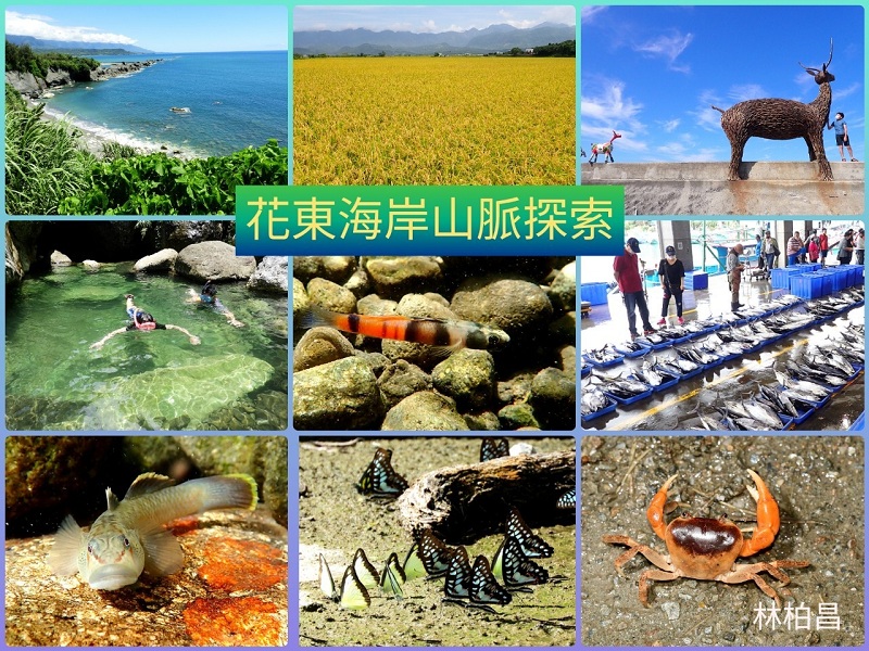 2026夏日生態探索(兩場次)