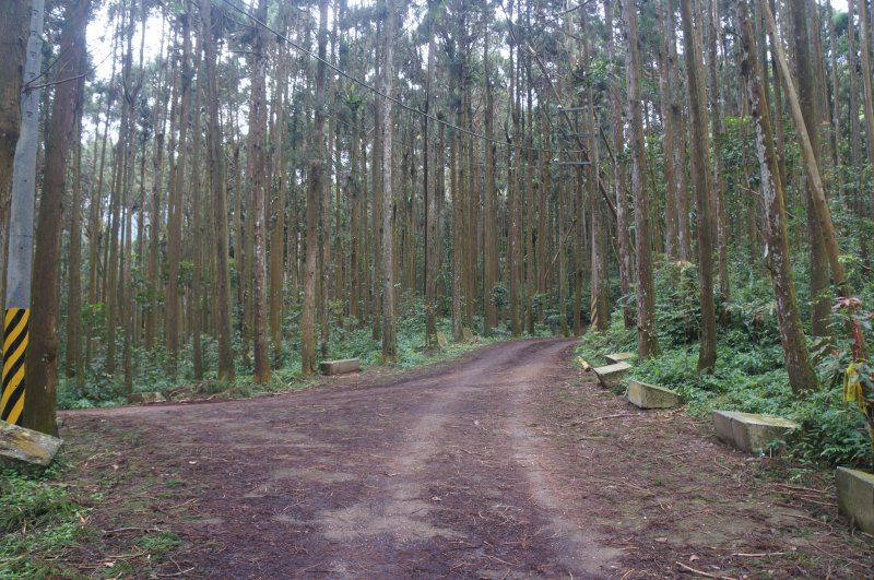 屏警登山會115年溪頭四秀溪頭山竹崙山志騰山暨快活林登山健行活動-0802
