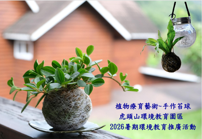 植物療育藝術~手作苔
