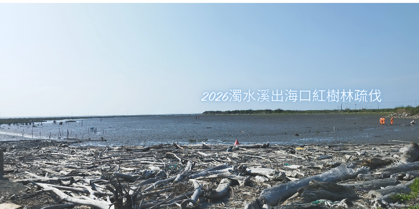 20260726夏日