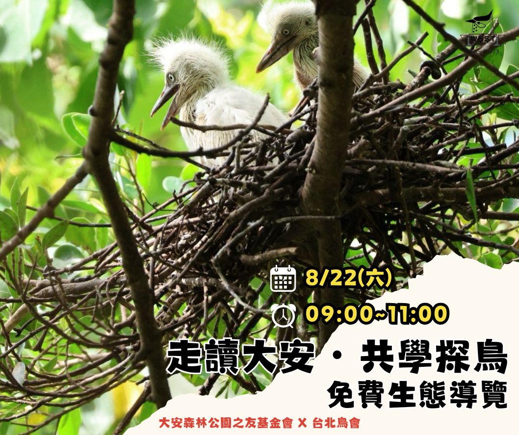 2026 走讀大安