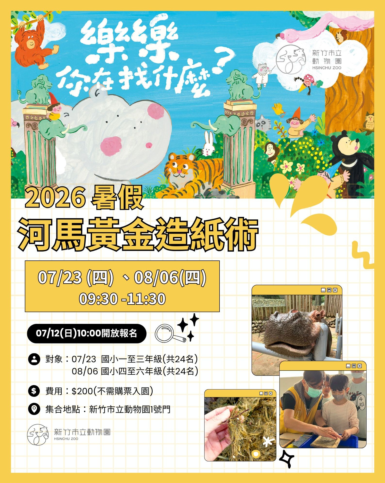 河馬黃金造紙術 -