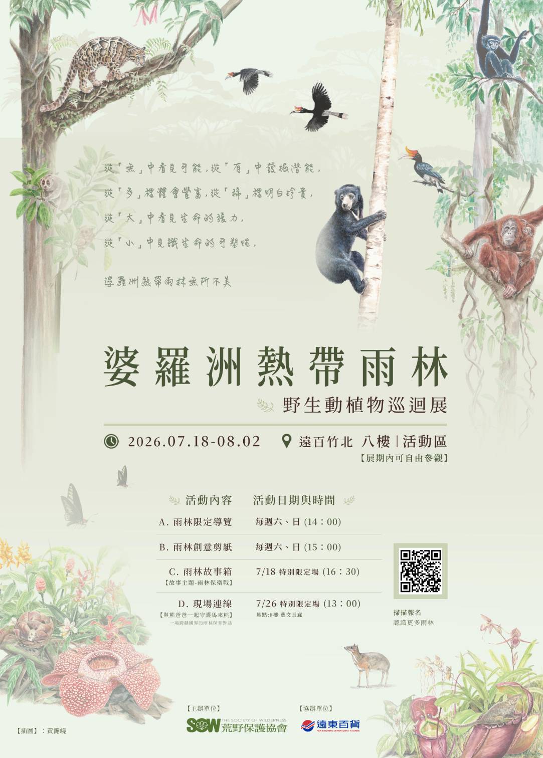 《婆羅洲熱帶雨林野生