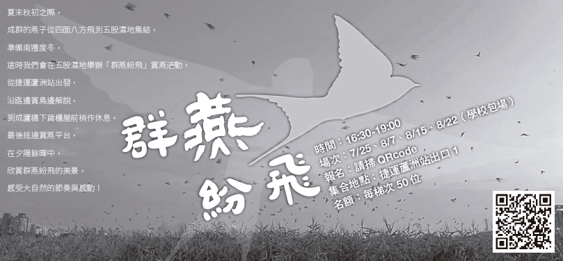 WBST 夏季群燕紛