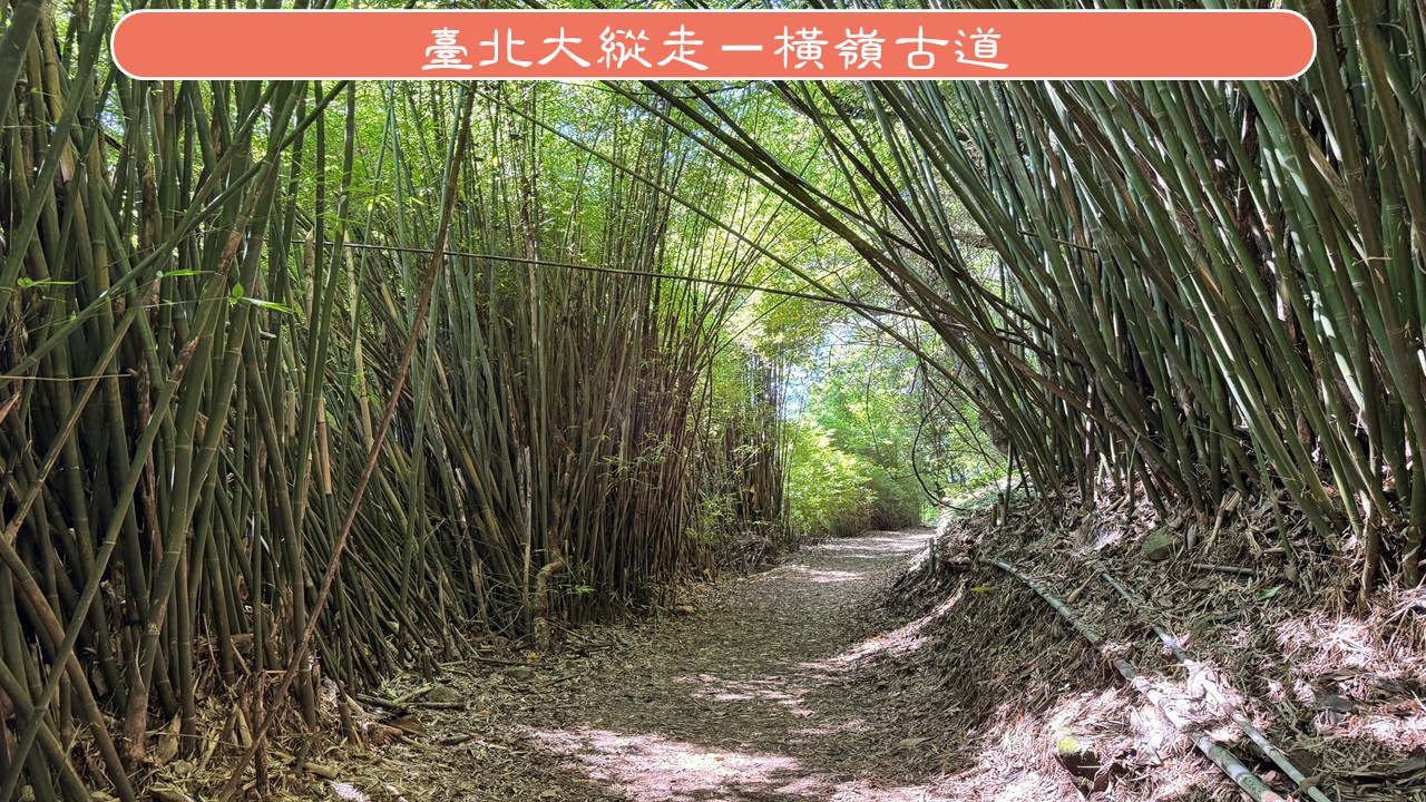 7月25日(六)橫嶺