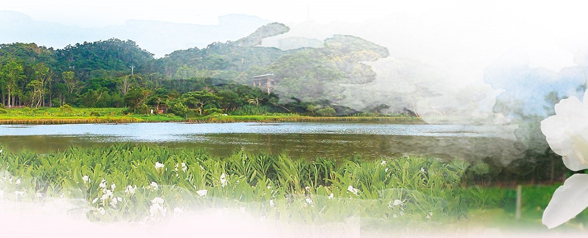 屏警登山會115年浸