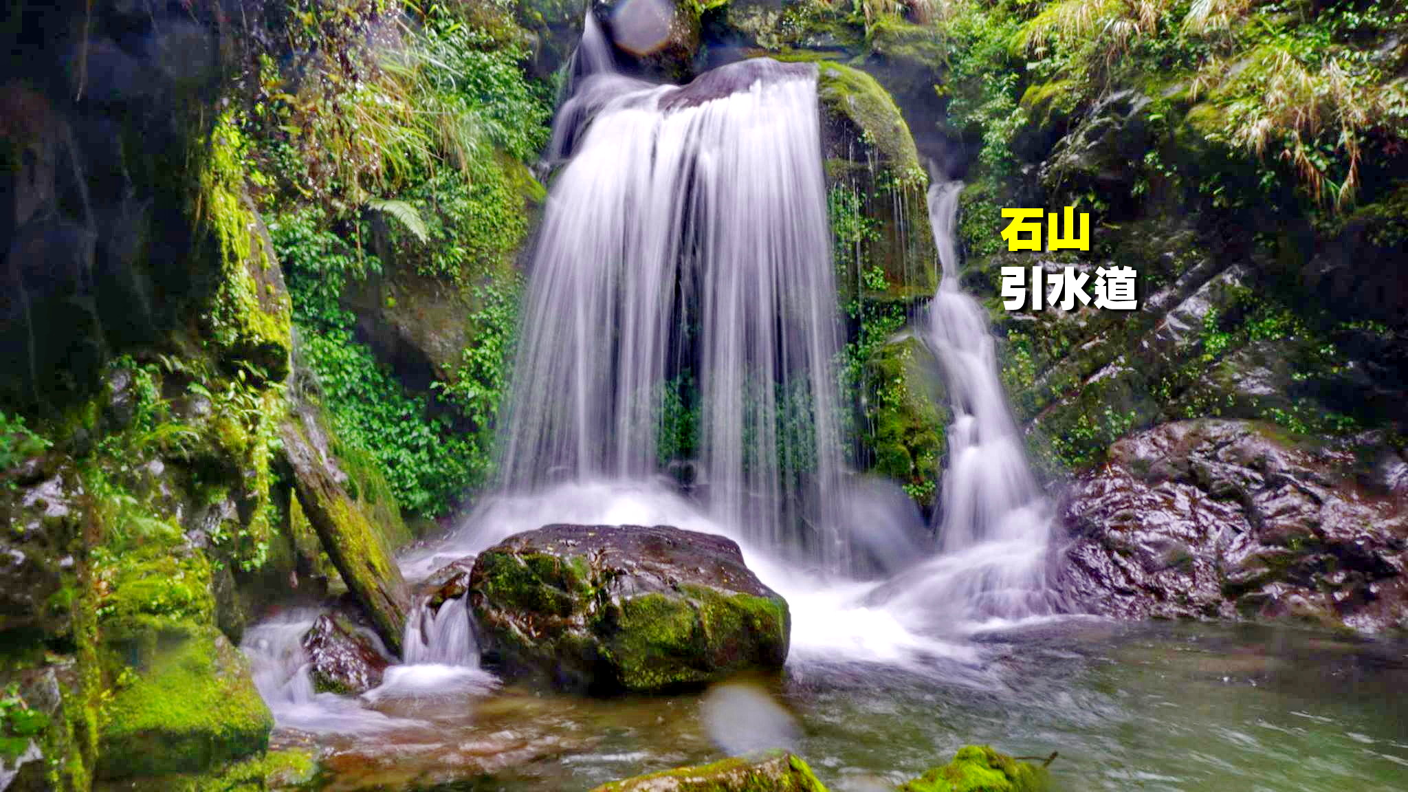 【台中市健康登山協會