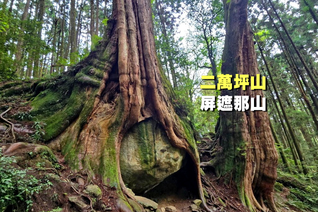 【台中市健康登山協會