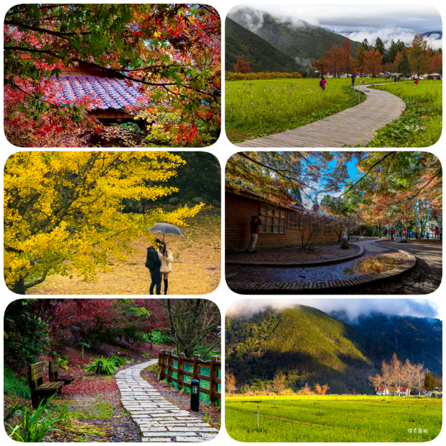 🍁 武陵 × 福壽山